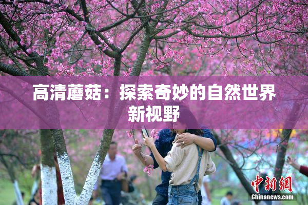 高清蘑菇：探索奇妙的自然世界新视野