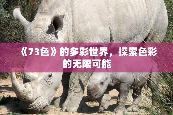 《73色》的多彩世界，探索色彩的无限可能