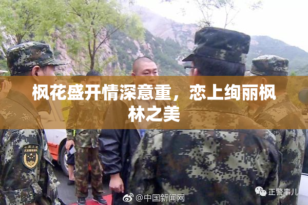 枫花盛开情深意重，恋上绚丽枫林之美