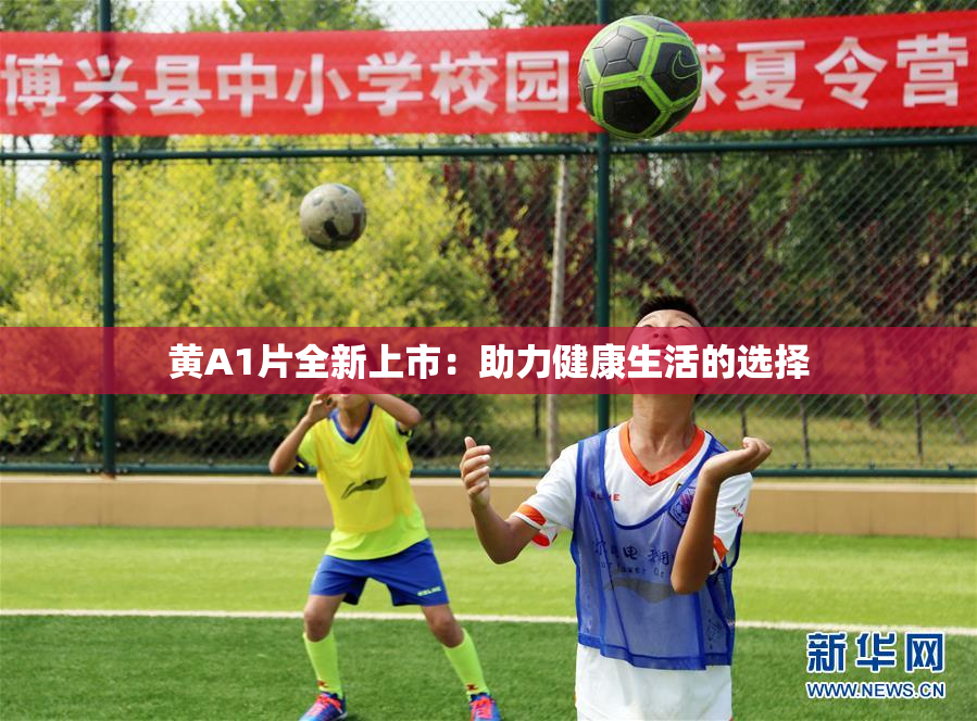 黄A1片全新上市：助力健康生活的选择