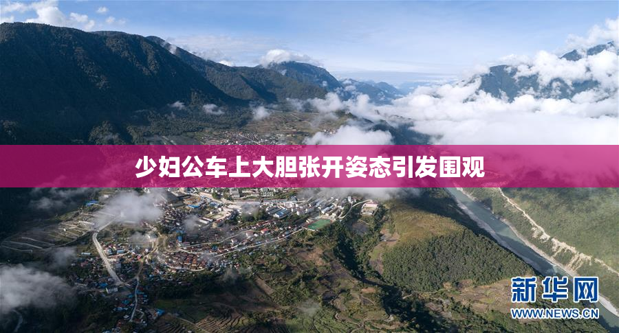 少妇公车上大胆张开姿态引发围观