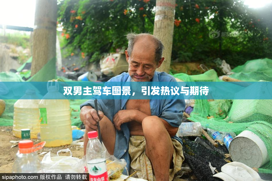 双男主驾车图景，引发热议与期待