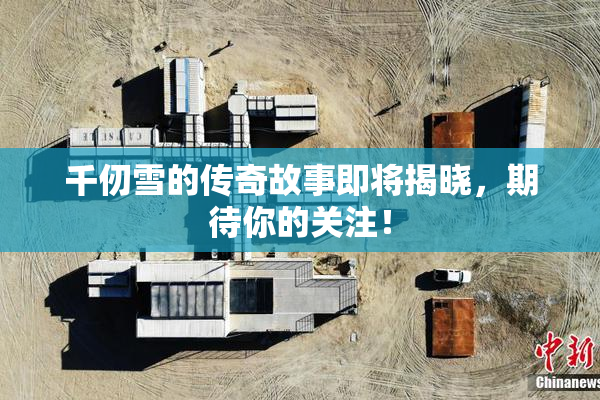 千仞雪的传奇故事即将揭晓，期待你的关注！