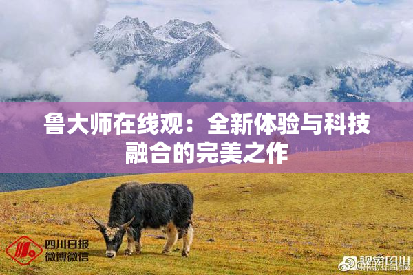 鲁大师在线观：全新体验与科技融合的完美之作