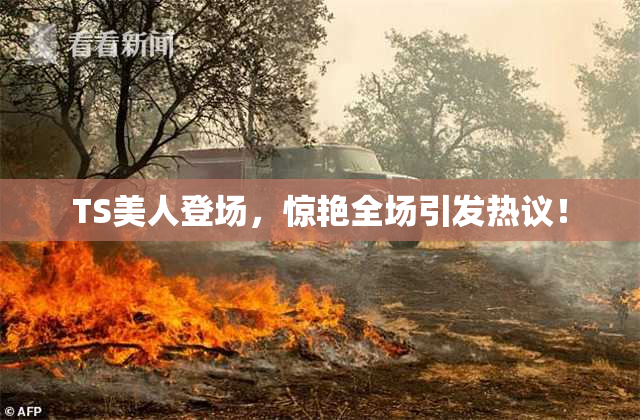 TS美人登场，惊艳全场引发热议！