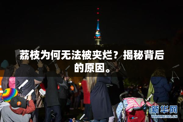 荔枝为何无法被夹烂？揭秘背后的原因。