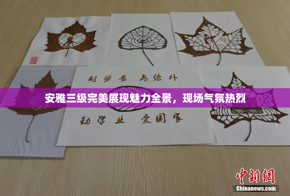 安雅三级完美展现魅力全景，现场气氛热烈