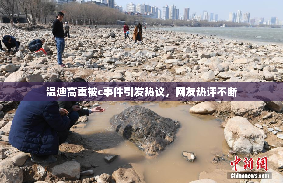 温迪高重被c事件引发热议，网友热评不断