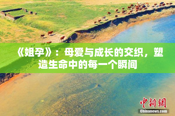 《姐孕》：母爱与成长的交织，塑造生命中的每一个瞬间