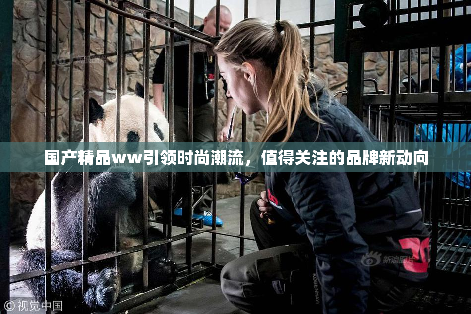 国产精品ww引领时尚潮流，值得关注的品牌新动向