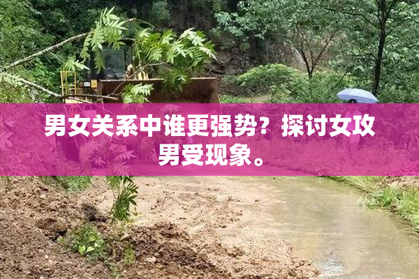 男女关系中谁更强势？探讨女攻男受现象。