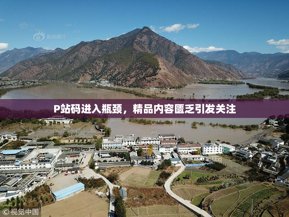 P站码进入瓶颈，精品内容匮乏引发关注