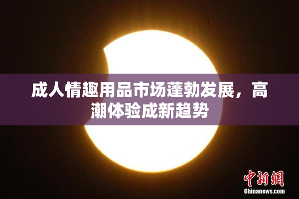 成人情趣用品市场蓬勃发展，高潮体验成新趋势