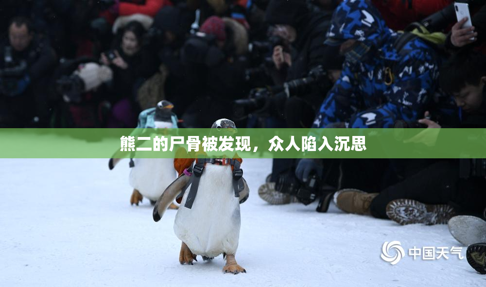 熊二的尸骨被发现，众人陷入沉思