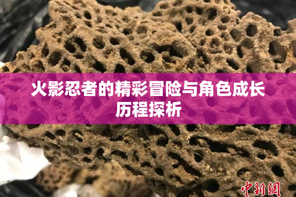 火影忍者的精彩冒险与角色成长历程探析