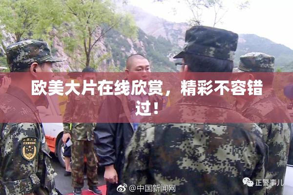 欧美大片在线欣赏，精彩不容错过！