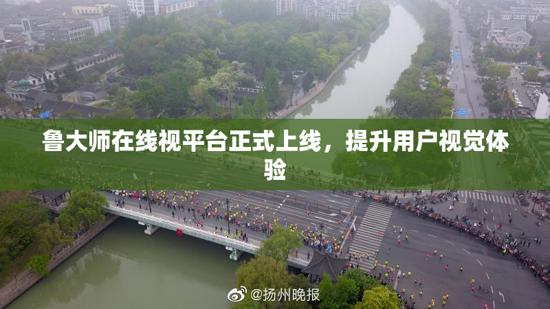 鲁大师在线视平台正式上线，提升用户视觉体验