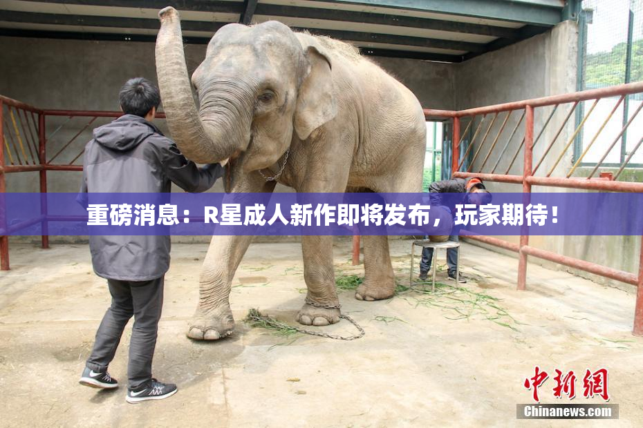 重磅消息：R星成人新作即将发布，玩家期待！