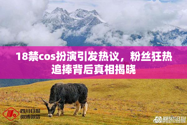 18禁cos扮演引发热议，粉丝狂热追捧背后真相揭晓