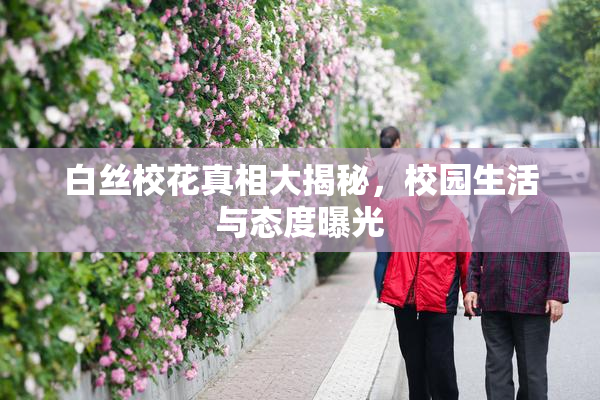 白丝校花真相大揭秘，校园生活与态度曝光