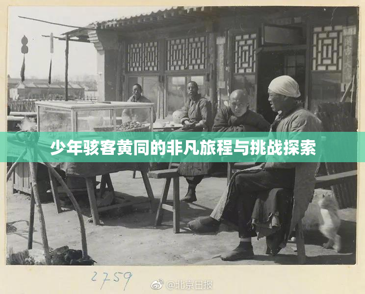 少年骇客黄同的非凡旅程与挑战探索