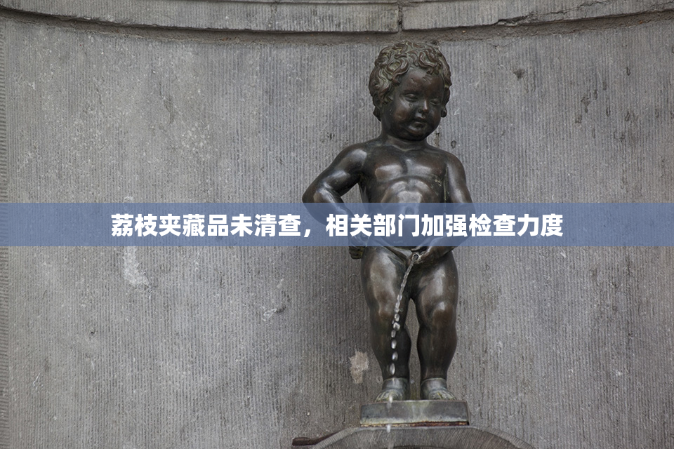 荔枝夹藏品未清查，相关部门加强检查力度