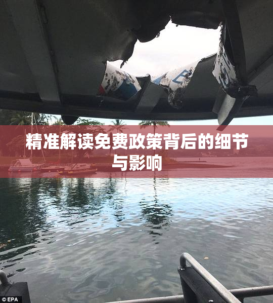精准解读免费政策背后的细节与影响