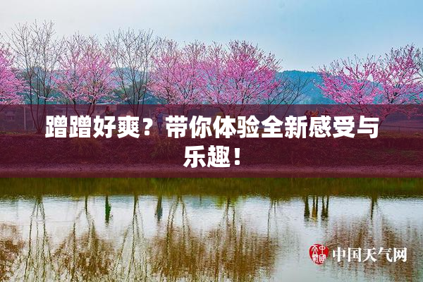 蹭蹭好爽？带你体验全新感受与乐趣！