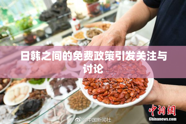 日韩之间的免费政策引发关注与讨论