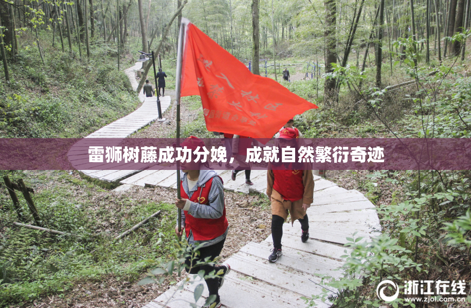 雷狮树藤成功分娩，成就自然繁衍奇迹