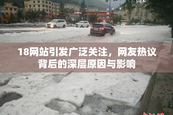 18网站引发广泛关注，网友热议背后的深层原因与影响