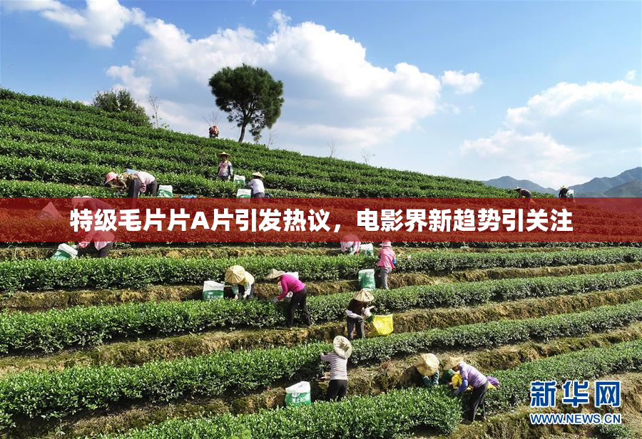 特级毛片片A片引发热议，电影界新趋势引关注