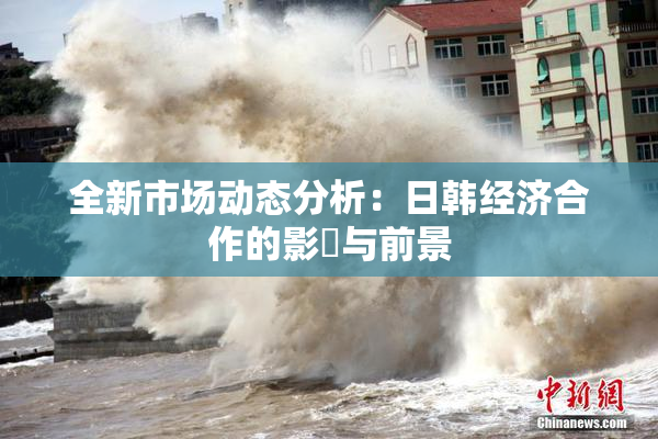 全新市场动态分析：日韩经济合作的影響与前景