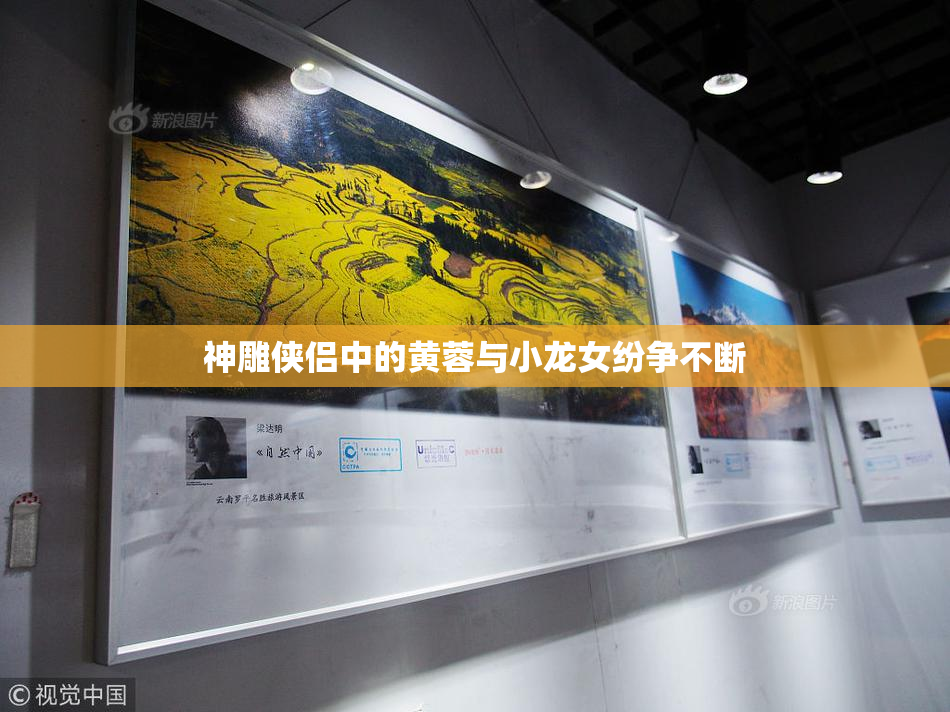 神雕侠侣中的黄蓉与小龙女纷争不断