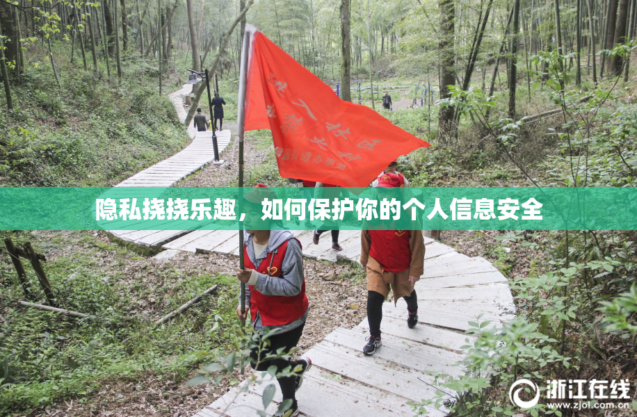 隐私挠挠乐趣，如何保护你的个人信息安全