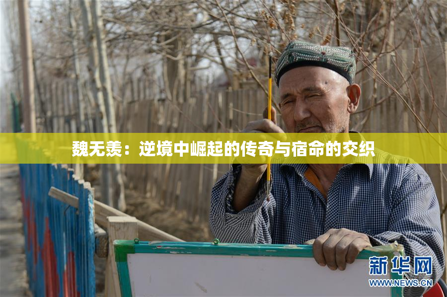 魏无羡：逆境中崛起的传奇与宿命的交织