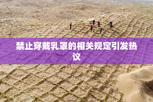 禁止穿戴乳罩的相关规定引发热议
