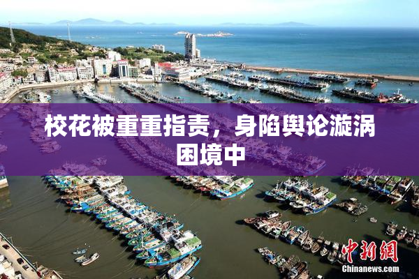 校花被重重指责，身陷舆论漩涡困境中
