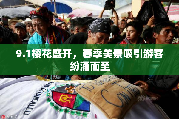 9.1樱花盛开，春季美景吸引游客纷涌而至