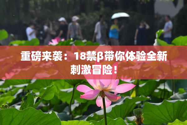重磅来袭：18禁β带你体验全新刺激冒险！