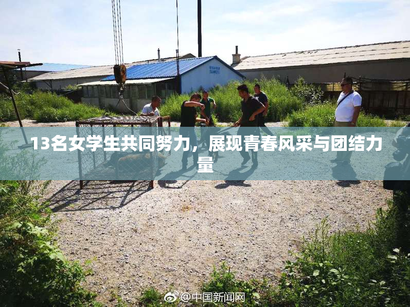 13名女学生共同努力，展现青春风采与团结力量