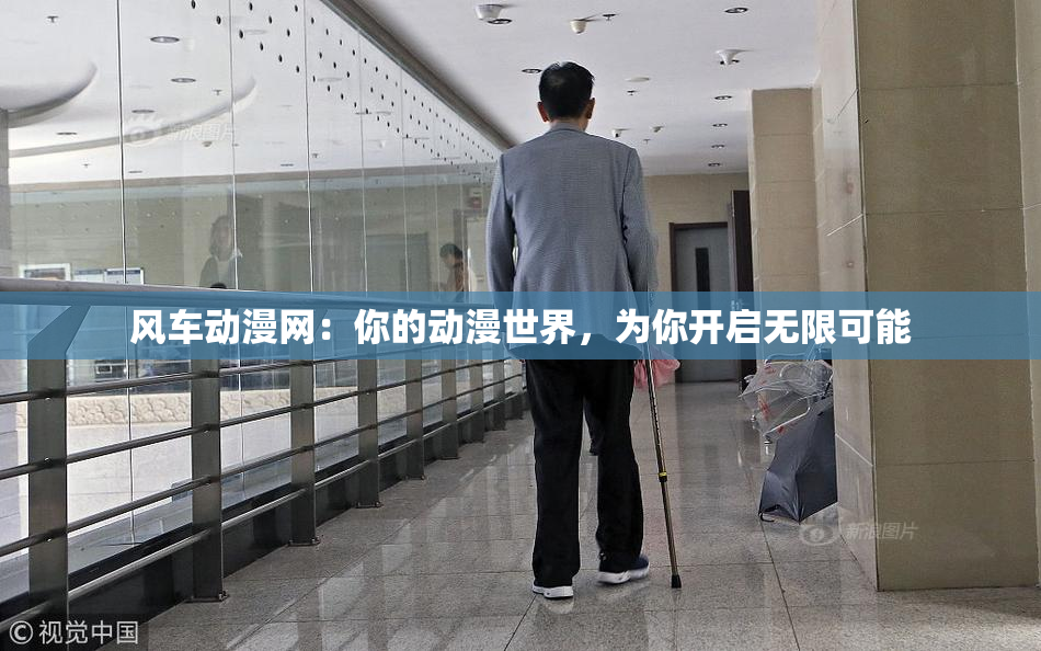 风车动漫网：你的动漫世界，为你开启无限可能