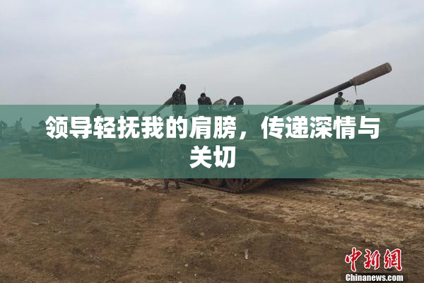 领导轻抚我的肩膀，传递深情与关切