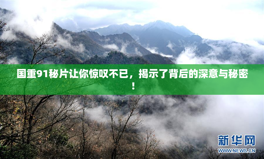国重91秘片让你惊叹不已，揭示了背后的深意与秘密！