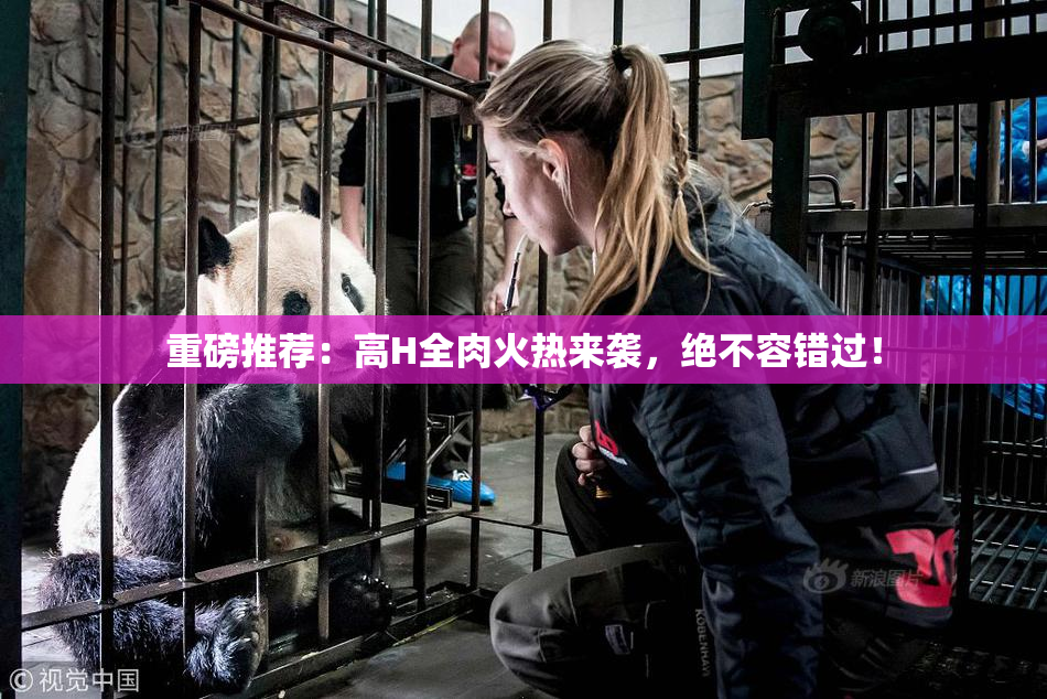 重磅推荐：高H全肉火热来袭，绝不容错过！