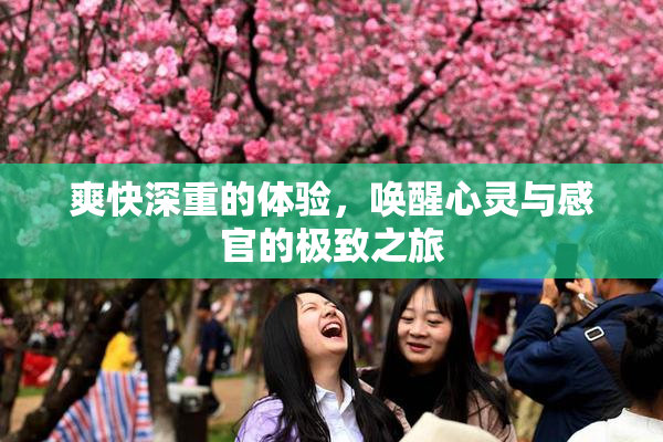 爽快深重的体验，唤醒心灵与感官的极致之旅
