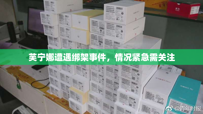 芙宁娜遭遇绑架事件，情况紧急需关注