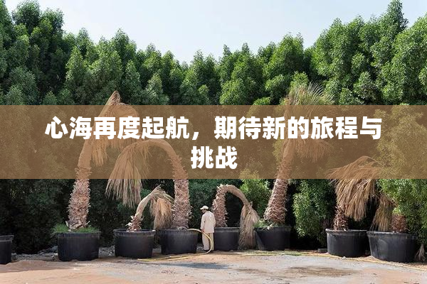 心海再度起航，期待新的旅程与挑战