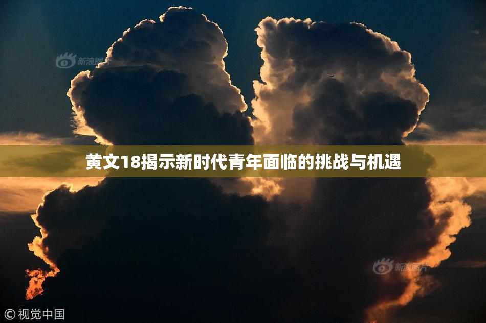 黄文18揭示新时代青年面临的挑战与机遇