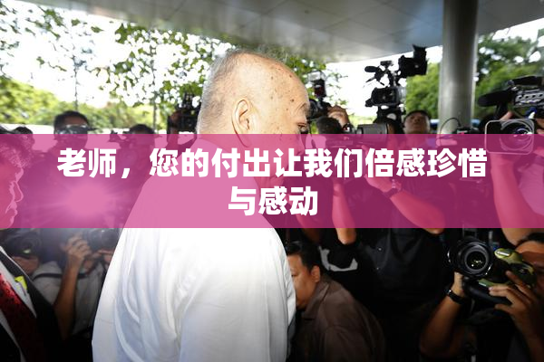 老师，您的付出让我们倍感珍惜与感动